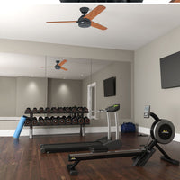 VENTILADOR DE TECHO HUNTER CARRERA 52”