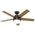 VENTILADOR DE TECHO HUNTER STILE BRONCE 46"
