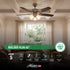 Ventilador de techo Hunter Builder Plus 52"