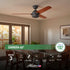 VENTILADOR DE TECHO HUNTER CARRERA 52”
